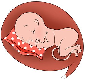 Сон новорожденных