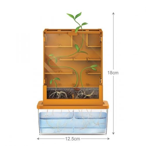 Опыты для детей 4M Green Science Эксперименты с растениями 00-03352