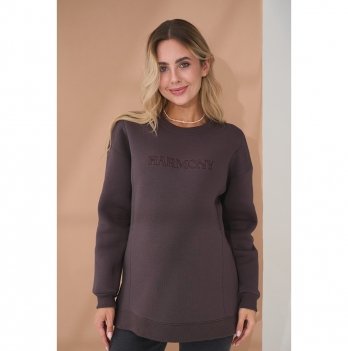 Свитшот для беременных и кормящих с начесом Юла Мама Harmony Коричневый TN-45.011