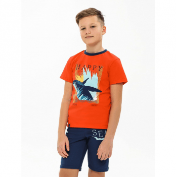 Детская футболка для мальчика Smil Южный ветер Красный 5 лет 110549