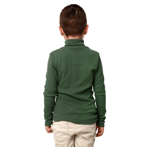 Водолазка детская для мальчика Lafleur Зеленый от 2 до 3 лет В141011-1
