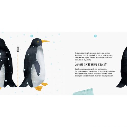 Книга Где живет пингвин? Видавництво Ранок 3+ лет 299011
