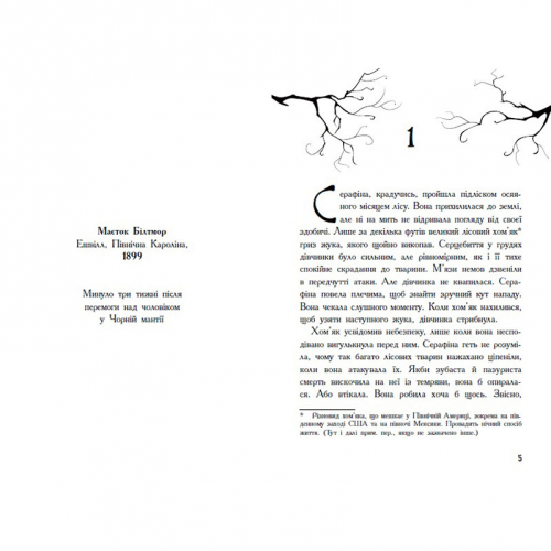 Книга Серафіна і Витий посох Видавництво Ранок 10+ лет 352324