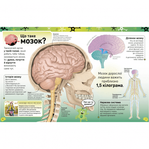 Книга Карколомний мозок. Імпульсивні нейрони, мінливі синапси, хвостаті аксони Видавництво Ранок 7+ лет 464446
