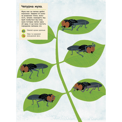 Книга с наклейками Комахи саду Видавництво Ранок 4+ лет 289984