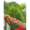 Пляжное полотенце из микрофибры Emmer 90х140 см Pomegranate Красный/Зеленый Pomegranate90*140