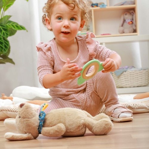 Игрушка обнимашка BabyOno Щенок Вилли 1521