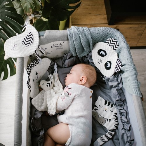 Игрушка обнимашка BabyOno Котенок 1535