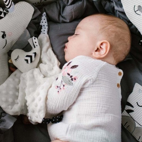 Игрушка обнимашка BabyOno Маленькая птичка 1537