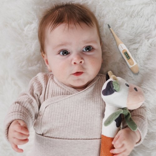 Электронный термометр с гибким наконечником BabyOno 1901