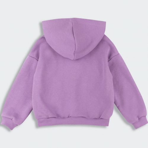 Кофта на молнии детская Bembi 1,5 - 6 лет Трикотаж тринитка Сиреневый Q00 КФ255
