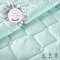 Комплект одеяло односпальное и подушка для сна Ideia Tropical Мятный 8-32432