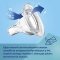 Антиколиковая бутылочка Canpol babies Easystart Sleepy Koala Голубой 3m+ 240 мл 35/237_blu