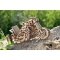 Деревянные пазлы 3D Ukrainian Gears Мотоцикл Scramber с коляской 70137