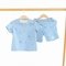 Костюм футболка и шорты для мальчика ELA Textile&Toys Кораблики 2 - 8 лет Кулир Светло-голубой JSB001SP