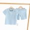 Костюм футболка и шорты для мальчика ELA Textile&Toys 2 - 8 лет Кулир Голубой JSB001LB