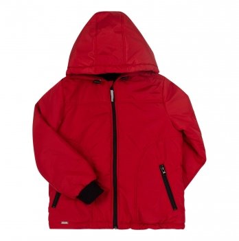 Демисезонная куртка для мальчика Bembi 4 - 6 лет Плащевка Красный КТ243