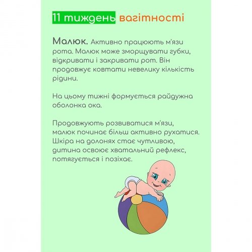 Одинадцятий тиждень вагітності. Гайд