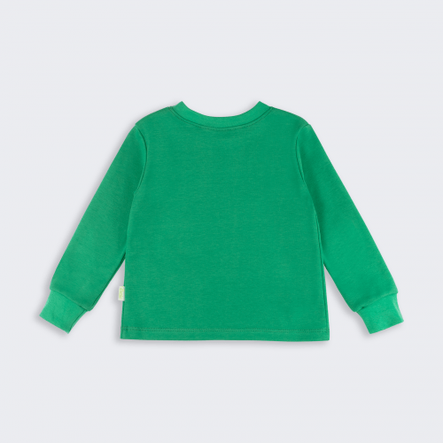 Пижама детская Bembi 1,5 - 5 лет Интерлок Зеленый/Черный ПЖ53