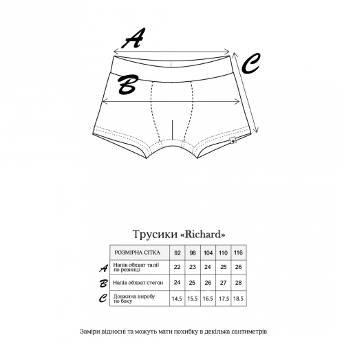 Детские трусы на мальчика 3 шт Magbaby Richard 1,5 - 6 лет Темный меланж 133135