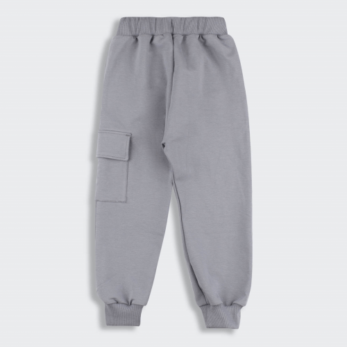 Детские штаны на мальчика Bembi 2 - 6 лет Трикотаж двунитка Серый ШР852