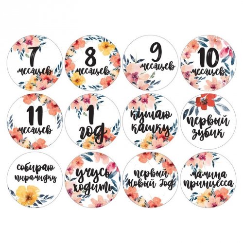 Набор наклеек для фото Memiks Цветы 7-12 месяцев цветы-7-12-рус