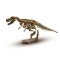 Набор серии Исследователь - Раскопки скелета тираннозавра Ses 25028S
