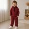 Спортивный костюм для мальчика ЛяЛя 2 - 6 лет Капитон Коричневый/Черный К3КП148_2-228