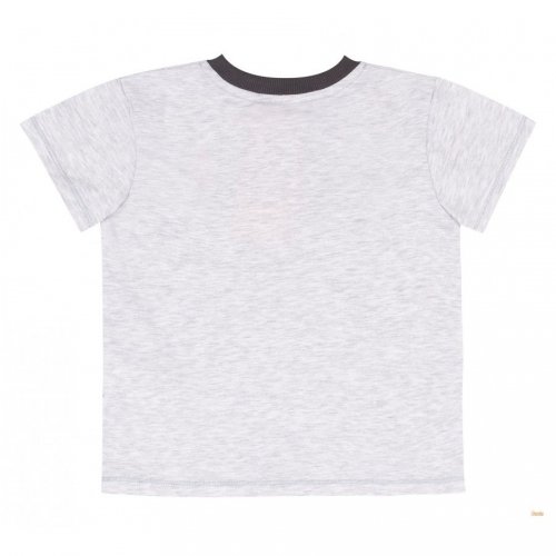 Костюм футболка и шорты на мальчика Bembi 2 - 3 года Супрем Серый/Салатовый КС693
