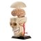 Развивающая игрушка Edu-Toys Education Модель черепа с нервами сборная SK010